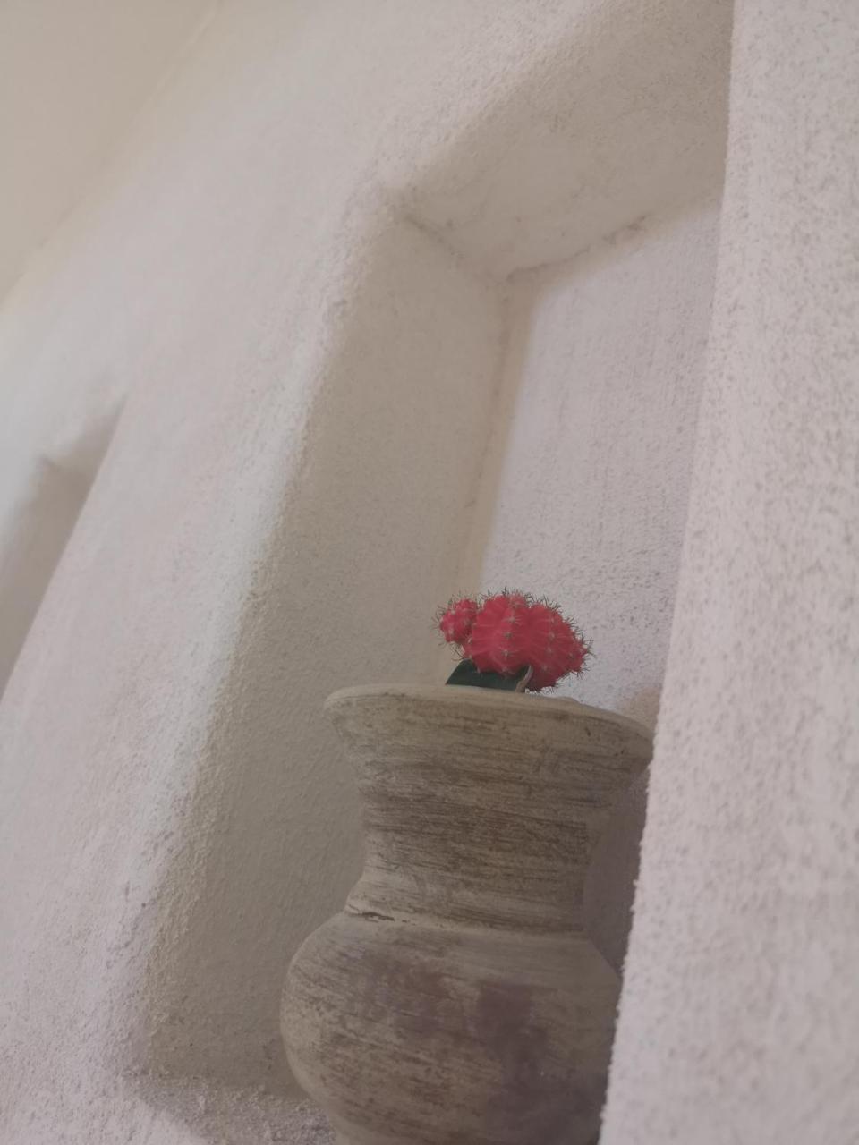 B&B Villa Rosalia Προτσίντα Εξωτερικό φωτογραφία
