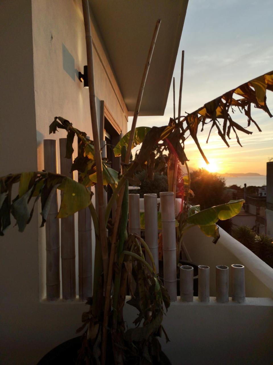 B&B Villa Rosalia Προτσίντα Εξωτερικό φωτογραφία