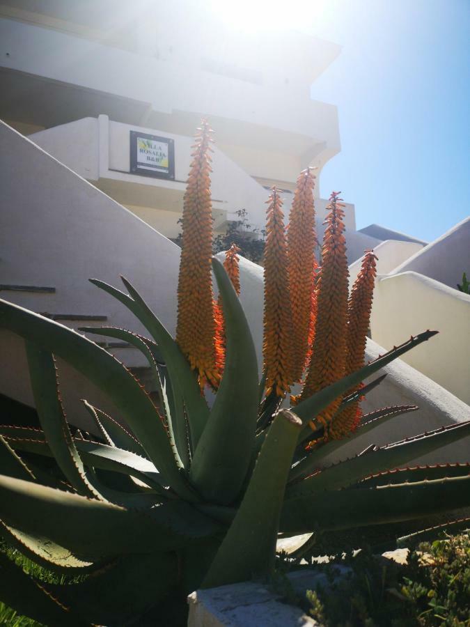 B&B Villa Rosalia Προτσίντα Εξωτερικό φωτογραφία
