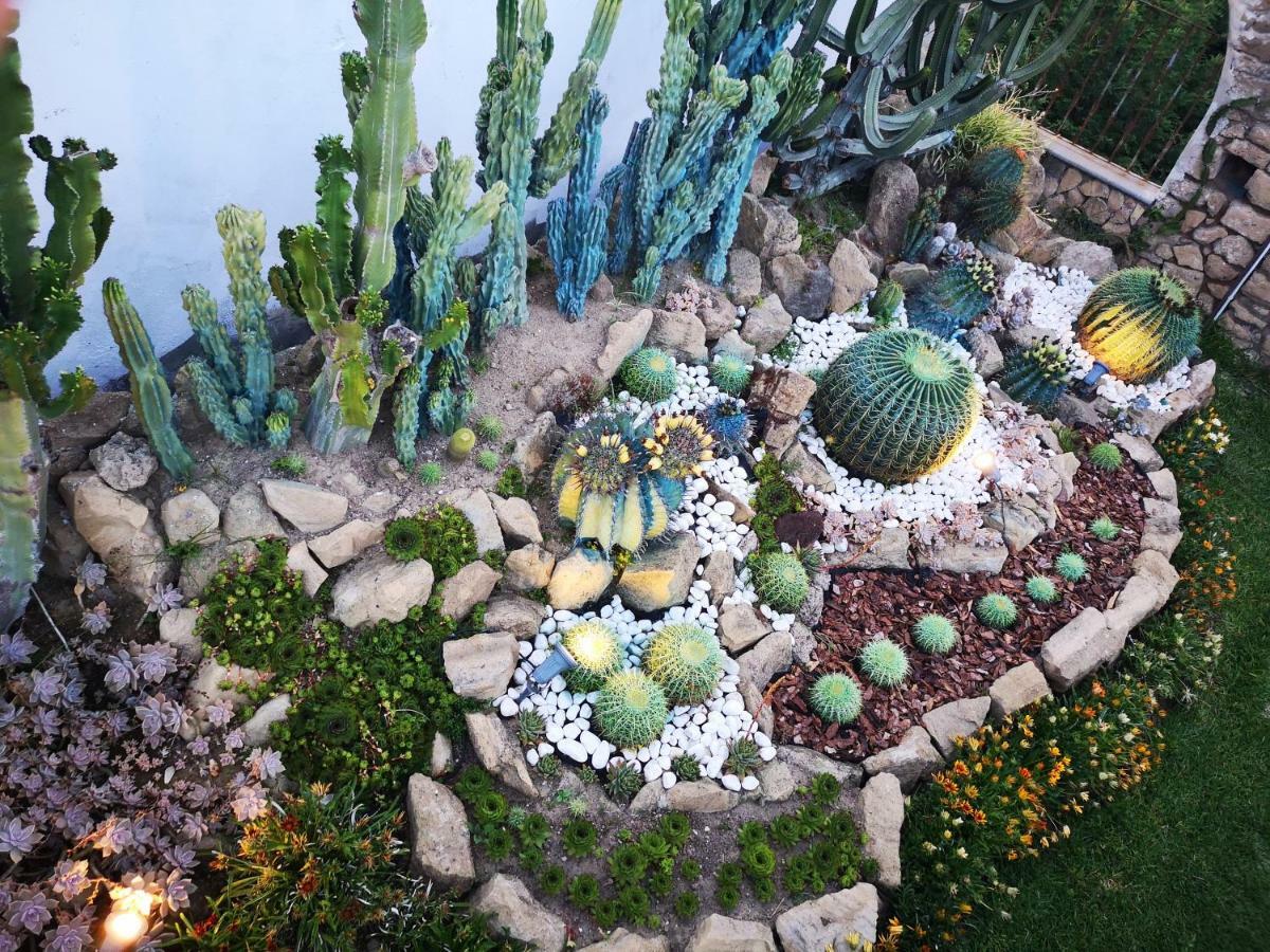 B&B Villa Rosalia Προτσίντα Εξωτερικό φωτογραφία